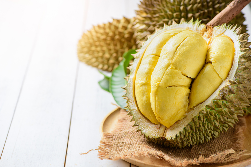 Panen Durian Tetap Jalan Meski Cuaca Ekstrem, Ini Kata Petani Durian di Malang