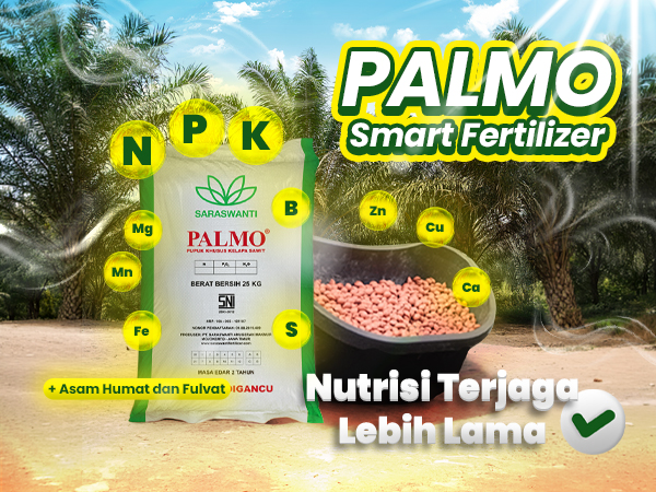 El Nino Godzilla 2026: Dampak ke Pertanian Indonesia dan Cara Menghadapinya